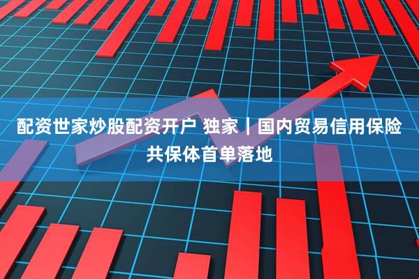 配资世家炒股配资开户 独家｜国内贸易信用保险共保体首单落地